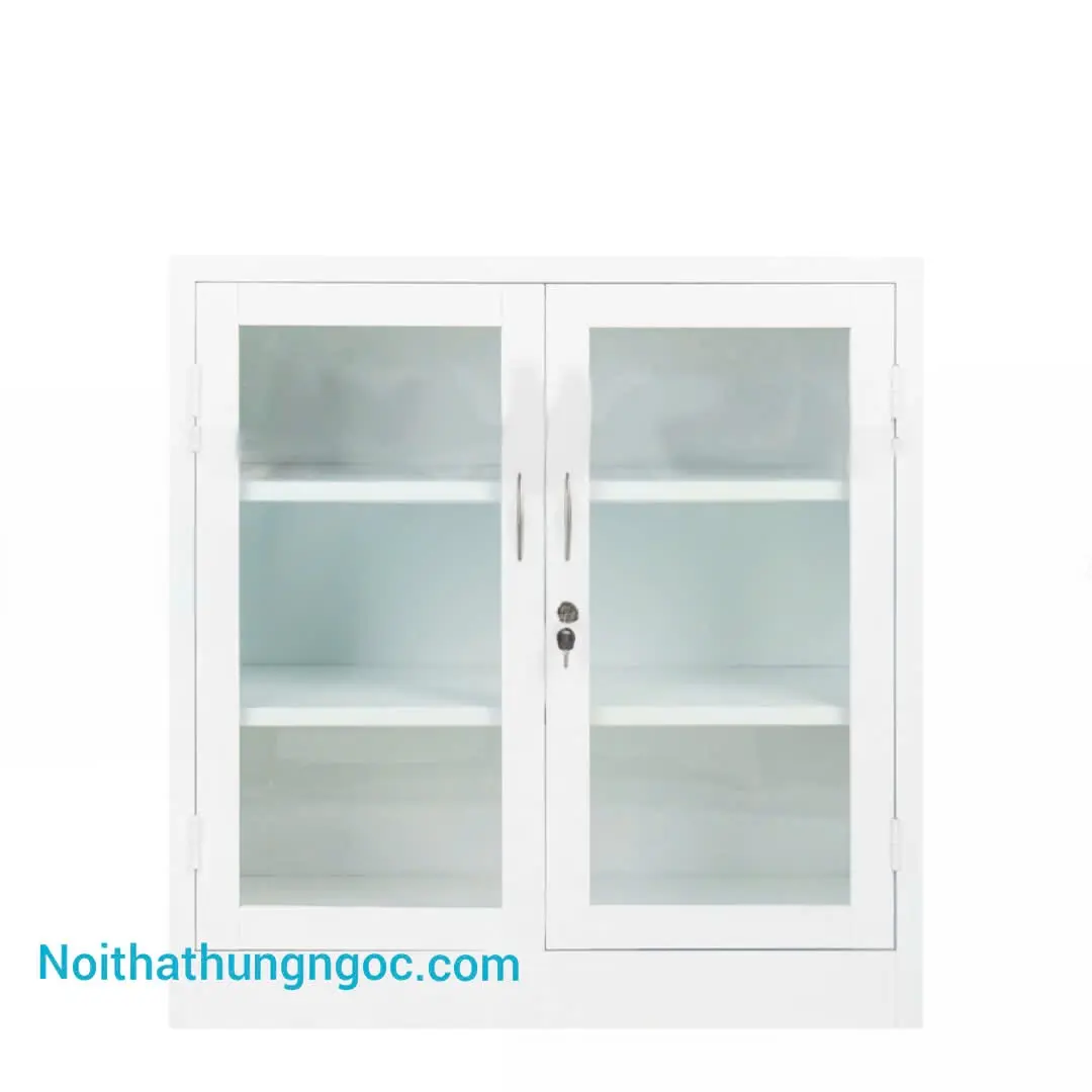 Hình ảnh thực tế Tủ Tài Liệu Sắt Thấp 2 Cánh Kính - HN1404